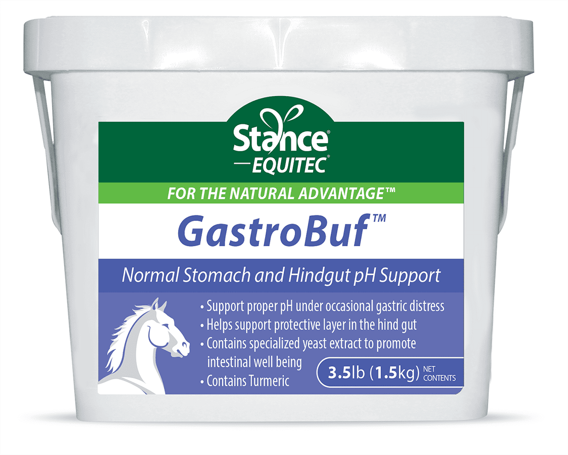 A tub of gastrobuf is shown.