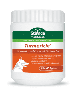 A container of turmeric and coconut oil powder for dogs.