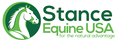 A green banner with the words " start equines for the next generation ".