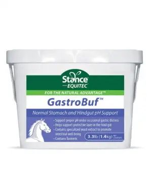 GastroBuf