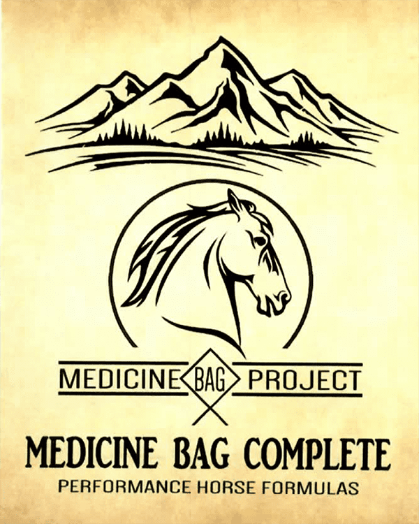 A drawing of a horse and mountains with the words medicine bag project.