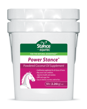 PowerStance for Equines