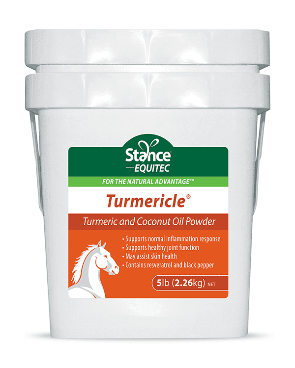 A container of turmericle oil powder for horses.