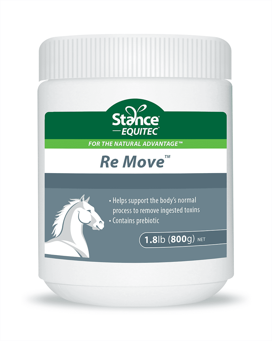Stance Equine USA Re Move Equine Supplement Jar